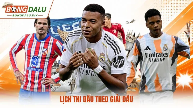 Lịch thi đấu theo giải đấu