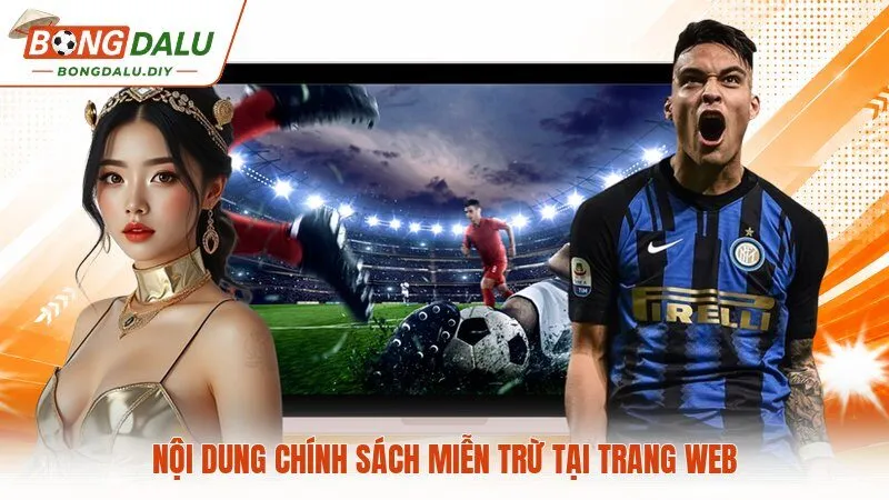 Nội dung chính sách miễn trừ tại trang web