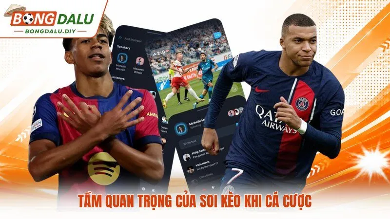 Tầm quan trọng của soi kèo khi cá cược