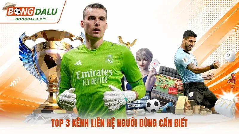 Top 3 kênh liên hệ người dùng cần biết