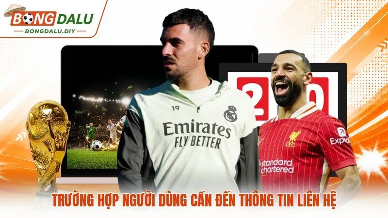 Trường hợp người dùng cần đến thông tin liên hệ