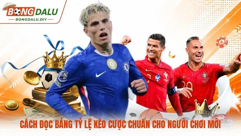 Cách đọc bảng tỷ lệ kèo cược chuẩn cho người chơi mới