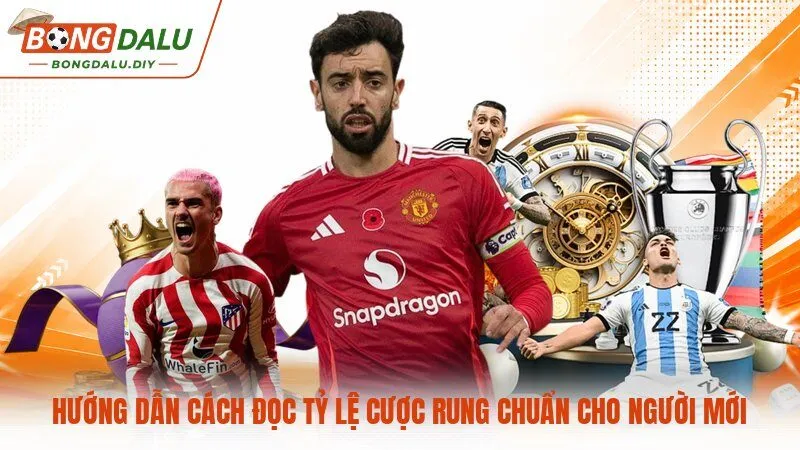 Hướng dẫn cách đọc tỷ lệ cược rung chuẩn cho người mới