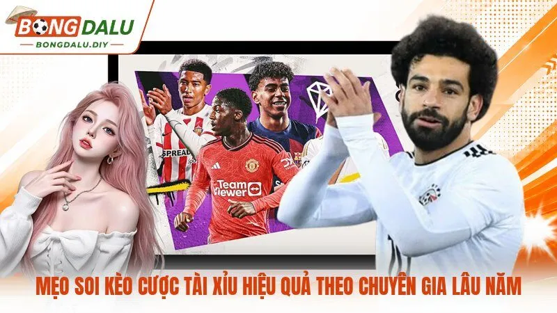 Mẹo soi kèo cược tài xỉu hiệu quả theo chuyên gia lâu năm