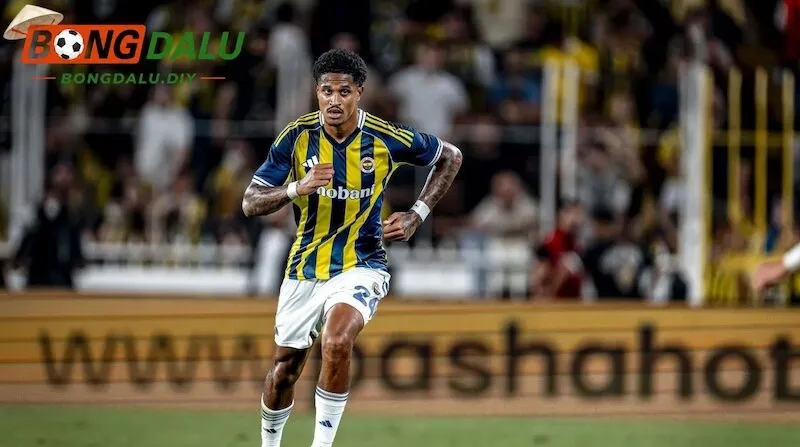 Soi kèo Fenerbahce vs Sturm Graz